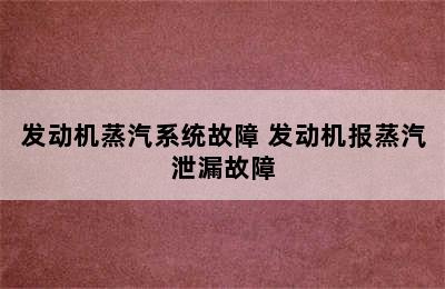 发动机蒸汽系统故障 发动机报蒸汽泄漏故障